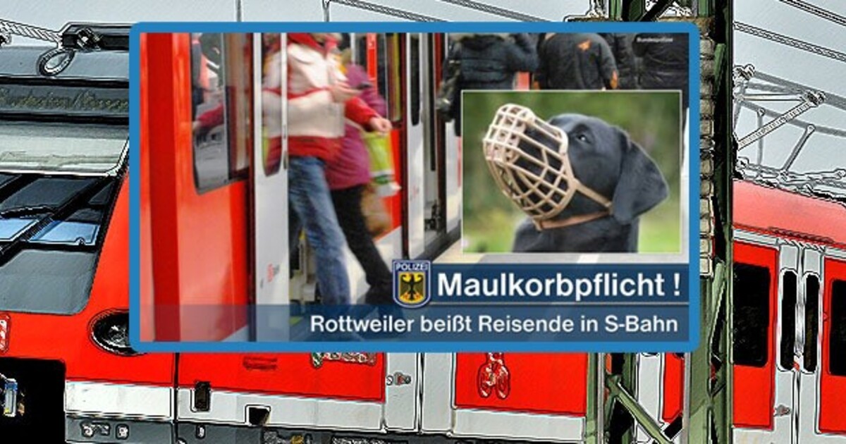 Frau In S Bahn Durch Rottweiler Verletzt Polizei Weist Auf Maulkorbpflicht Hin Münchentv 