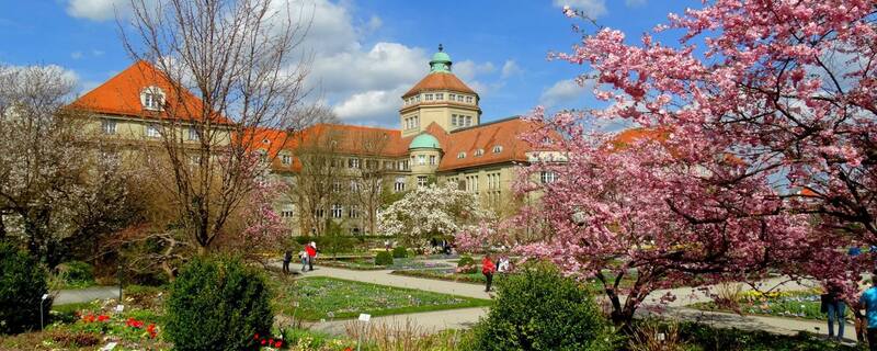 Sonne Satt Der Marz War In Bayern Besonders Freundlich Munchen Tv